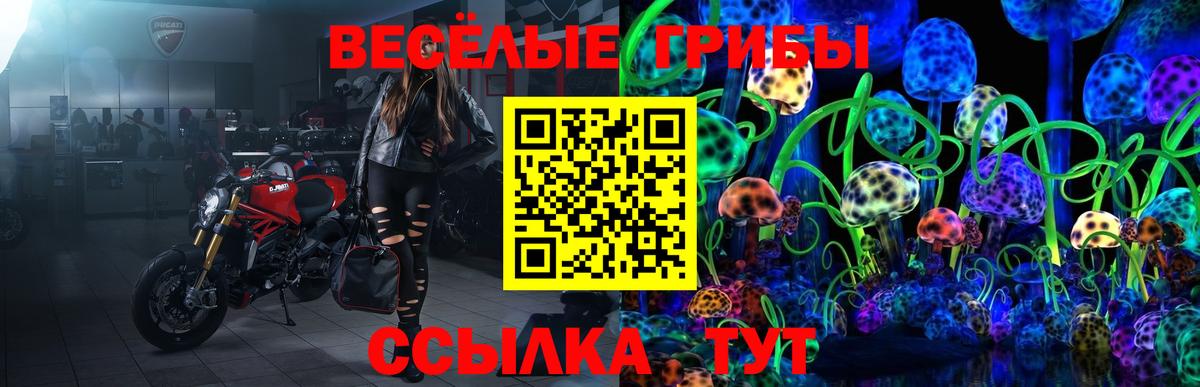 Псилоцибиновые грибы мухоморы Тобольск
